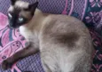 Zezé e MIah 