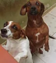 Leopoldo e Leonel
