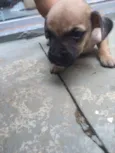 Abandonados !