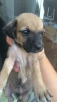 Abandonados !