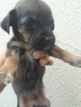 Abandonados !