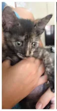 Kiki