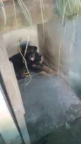 Kiko e Drika