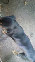 Kiko e Drika