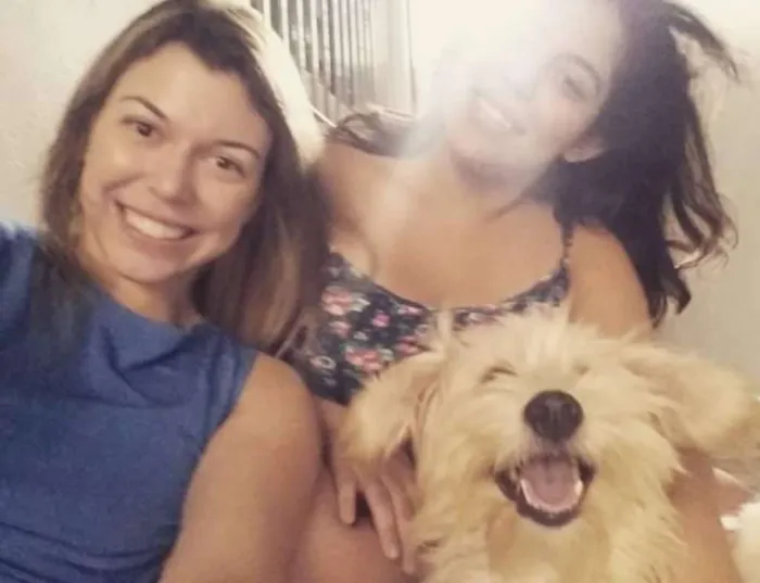 Cachorro ra a SRD idade 2 anos nome Safira