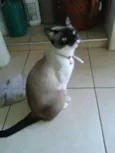 Nina