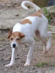 RUBI, Um tesouro!