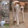 RUBI, Um tesouro!