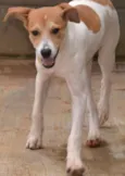 RUBI, Um tesouro!