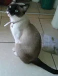 Nina