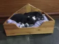 Pretinhos