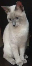 Zeus