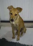 Nina