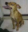 Nina