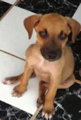 Menininha