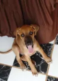 Menininha