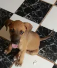 Menininha