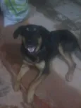 KIRA