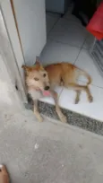 Pedro