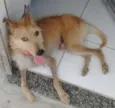 Pedro