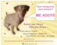 Adote