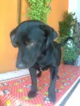 FIORELA