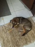Nina