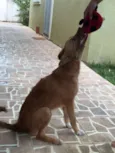Nina