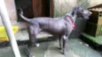 Billy
