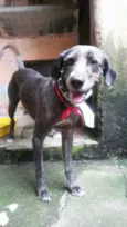 Billy