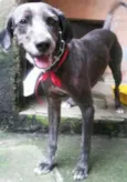 Billy