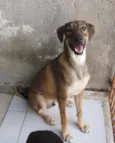 Dilan