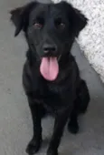 PIERRE
