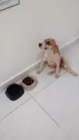 Não tem 