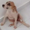 Não tem 