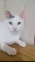 Liann(charmoso)