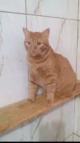 Kadu