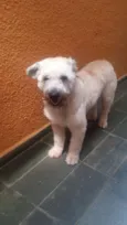 Não sei