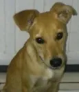 Nina