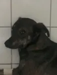 Lila