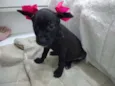 Bolota