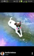 LILI