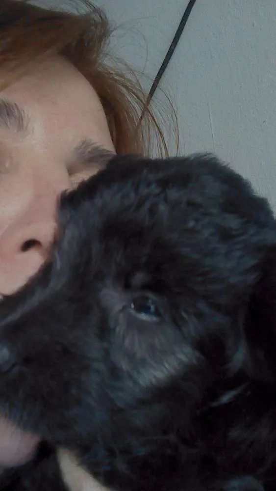 Cachorro ra a SRD idade Abaixo de 2 meses nome Horus
