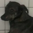 Lila