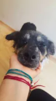 Lucky