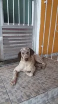 Bartho