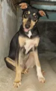 Moleuqe