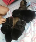 Marley e outros
