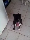 Zeus