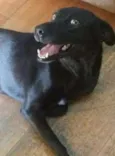 Preta